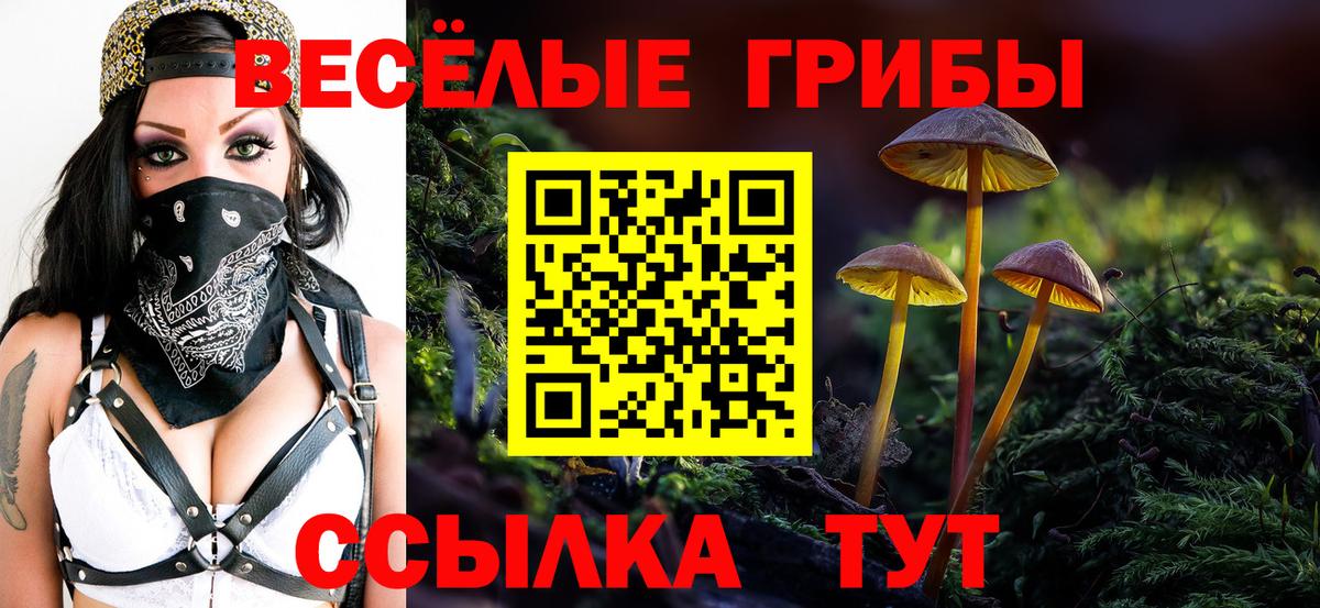 Асино  Галлюциногенные грибы Psilocybe  Псилоцибиновые грибы Magic Shrooms  Вход с VPN 
